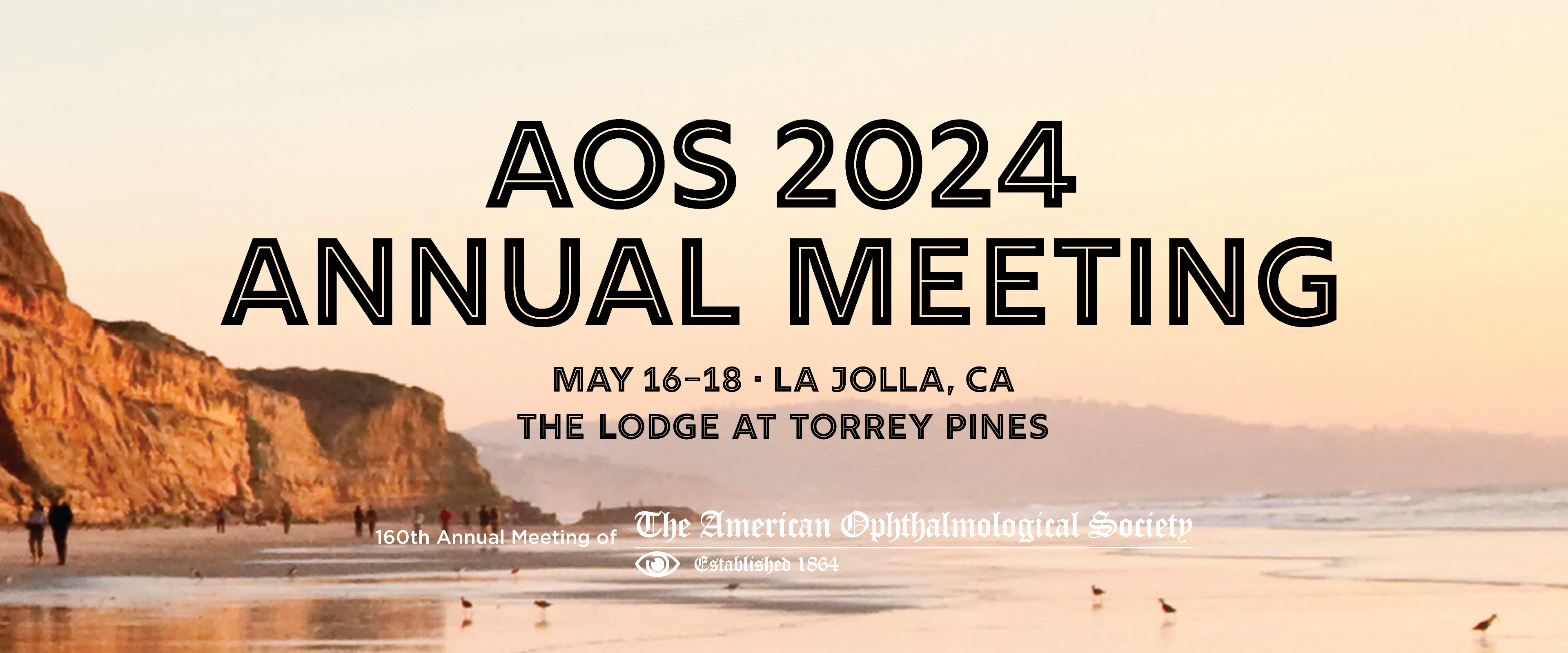 2023 AOS Annual Meeting